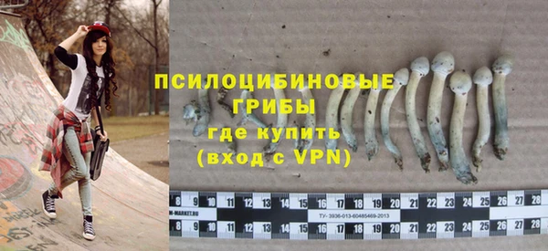 кокс Гусь-Хрустальный