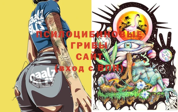 ешки Гусиноозёрск