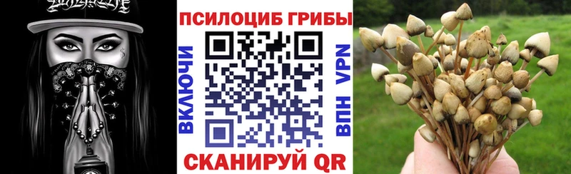 наркота darknet телеграм Галлюциногенные грибы Magic Shrooms Отрадный
