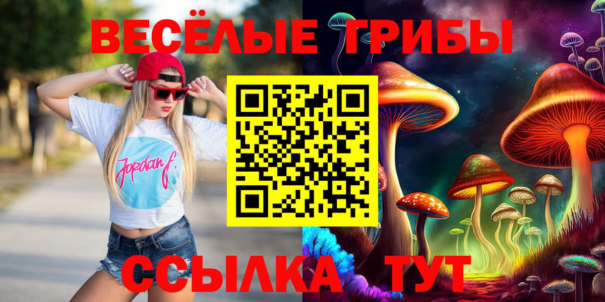 Галлюциногенные грибы Cubensis Отрадный