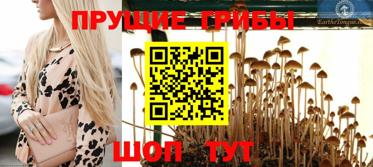 Отрадный  Псилоцибиновые грибы ЛСД  дарнет шоп  Вход с VPN 